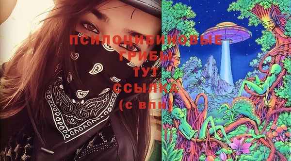 гидра Бородино