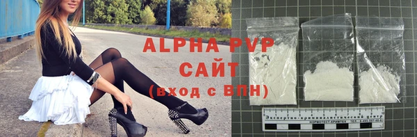 гидра Бородино