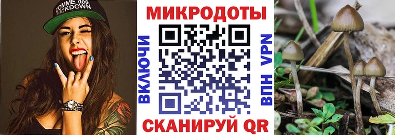 Галлюциногенные грибы Magic Shrooms  Ростов 